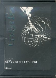 金属のシャボン玉　トロフルックス（ガジェットブックス メビウスの卵3）/ヨッヒェン・ヴァレットのサムネール