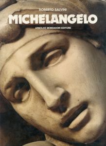 ミケランジェロ　Michelangelo/のサムネール