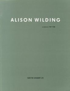 Alison Wilding: Sculptures 1987/1988/アリソン・ワイルディングのサムネール