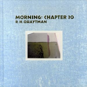 R. H. クエートマン　R. H. Quaytman: Morning: Chapter 30/