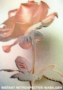 稲葉元写真集　Instant Retrospective Inaba,Gen　花/稲葉元