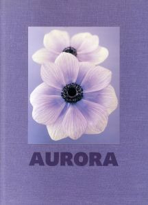 ロン・バン・ドンゲン写真集　Ron Van Dongen: Aurora/Ron Van Dongenのサムネール