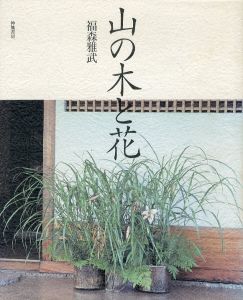 山の木と花/福森雅武のサムネール