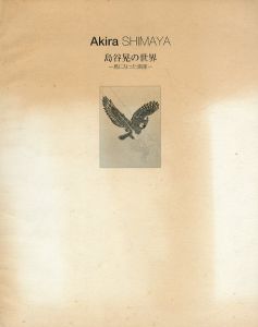 島谷晃の世界　鳥になった画家/のサムネール