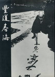 豊道春海展　東洋のこころ/栃木県立美術館編のサムネール