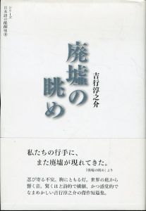 廃墟の眺め　シリーズ日本語の醍醐味8/吉行淳之介　七北数人編のサムネール