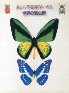 美しく、不思議ないのち　世界の昆虫博/高桑正敏のサムネール