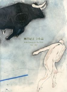 柳澤紀子 全作品 1964-2017/柳澤紀子