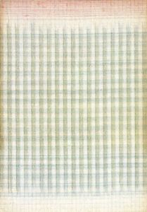 一茎有情/宇佐見英治/志村ふくみ
