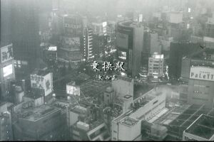 大西正写真集　乗換駅 lost in shinjuku/