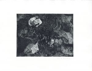 化石の中の花嫁たち/池田満寿夫