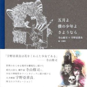 五月よ　僕の少年よ　さようなら/寺山修司詩・文　宇野亞喜良絵　目黒実編・選詩のサムネール
