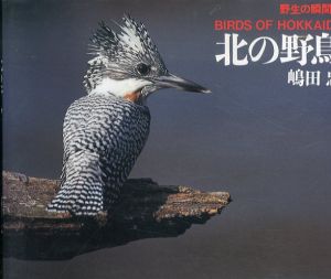 北の野鳥 　野生の瞬間 2/嶋田忠のサムネール