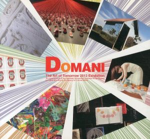 DOMANI・明日展　2013/曽根裕/米正万也/塩田千春/神彌佐子/橋爪彩/行武治美/澤田知子/糸井潤/平野薫/青野千穂/池田学/小尾修のサムネール