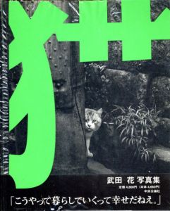武田花写真集　猫　Tokyo Wild Cats/武田花のサムネール