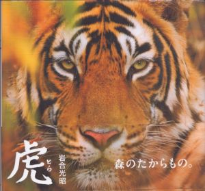 虎　とら/岩合光昭のサムネール