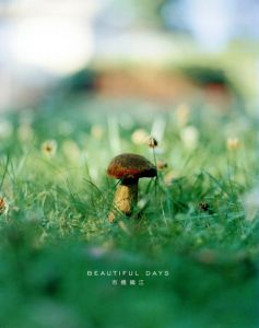 市橋織江写真集　Beautiful Days/市橋織江　MATOI PUBLISHING編のサムネール