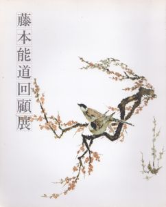 藤本能道回顧展/のサムネール