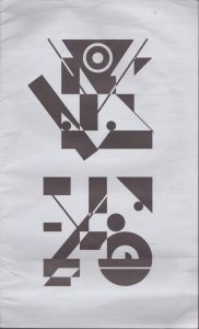 SAL magazine Vol.12 Stereo Symmetry/大橋二郎のサムネール