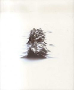 ピーター・サヴィル　Designed by Peter Saville/Rick Poynor/Emily King/Peter Yorkのサムネール