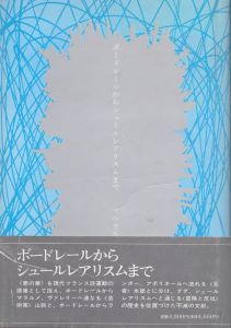 ボードレールからシュールレアリスムまで（新装改版）/マイセル・レイモン　平井照敏訳のサムネール