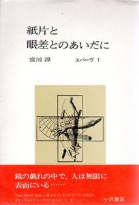 紙片と眼差とのあいだに/宮川淳のサムネール