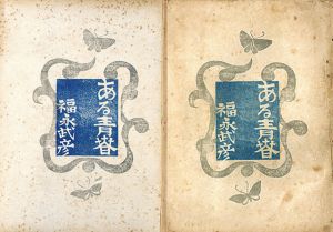ある青春　特製版・並製/福永武彦のサムネール