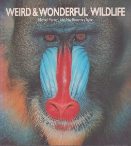 Weird and Wonderful Wild Life/Michael Marten　etc.のサムネール