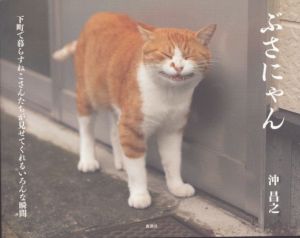 ぶさにゃん/沖昌之のサムネール