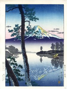 田子の浦/土屋光逸のサムネール