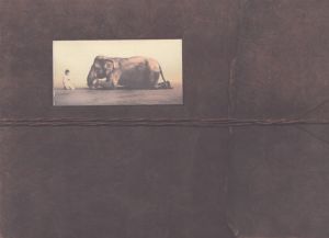 グレゴリー・コルベール　Ashes and Snow: Tokyo Exhibition Catalog 2007/Gregory Colbertのサムネール