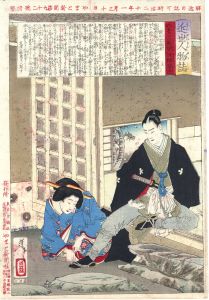 近世人物誌　やまと新聞附録第四　徳川溶姫君/芳年