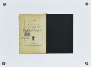 黒い性愛/金子国義のサムネール