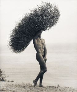 Male Nude/ハーブ・リッツのサムネール