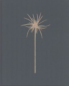 ロバート・ヴォイト写真集 Robert Voit: New Trees/Robert Voit　Christoph Shadenのサムネール