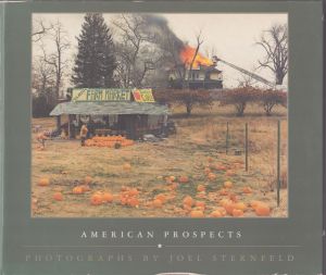 ジョエル・スタンフェルド写真集　Joel Sternfeld: American Prospects/のサムネール