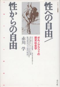 性への自由/性からの自由　ポルノグラフィの歴史社会学　クリティーク叢書11/赤川学のサムネール