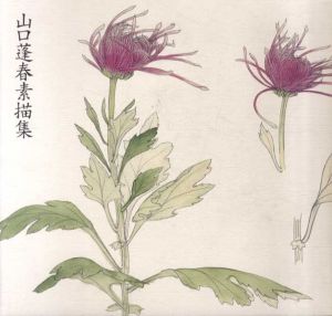 山口蓬春素描集/