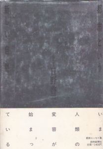 都市という新しい自然/日野啓三のサムネール