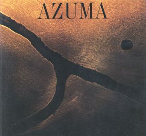 吾妻兼治郎展　1988　/西武美術館/富山県立近代美術館/神奈川県立近代美術館/山梨県立美術館/宮城県美術館/国立国際美術館