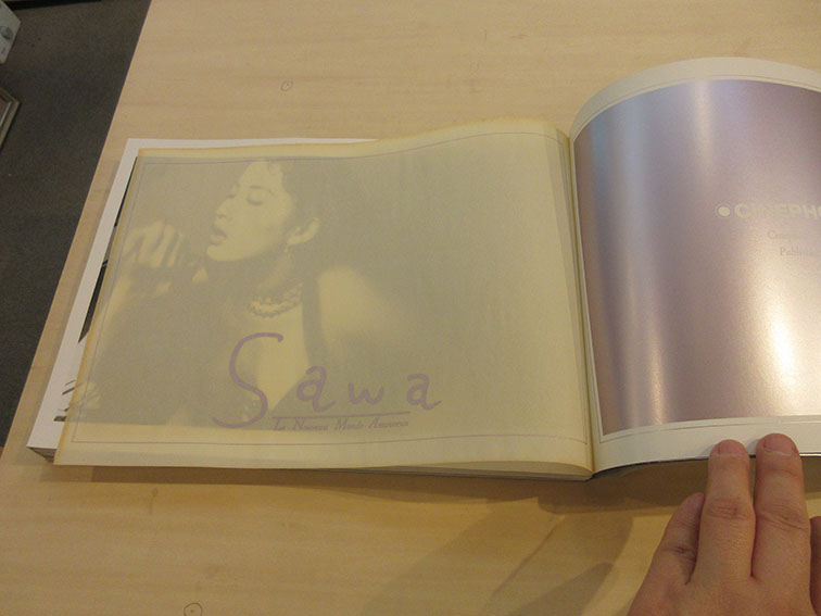 荒木経惟写真集 Sawa 愛の新世界 鈴木砂羽写真集 / 荒木経惟 荒木経惟写真集 Sawa 愛の新世界 鈴木砂羽写真集 / 荒木経惟