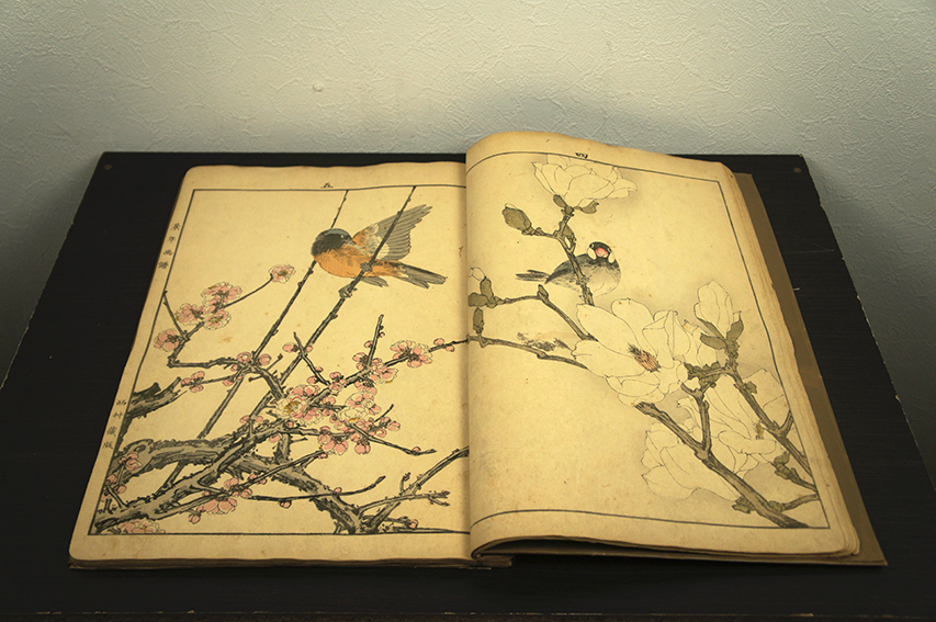 今尾景年 景年花鳥画譜春部 / Keinen Imao | Natsume Books