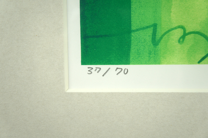 谷川晃一版画額 | Natsume Books