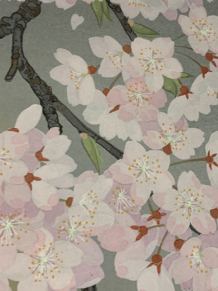 森田りえ子版画「山桜」 | Natsume Books