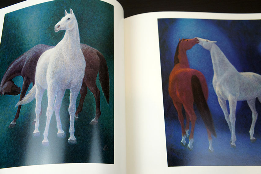 杉山寧画集 限定版 / 杉山寧 | Natsume Books 杉山寧画集 限定版 / 杉山寧 | Natsume Books