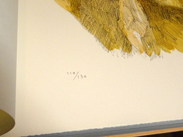 薬用植物図譜 特装版 / 小磯良平画 刈米達夫解説 | Natsume Books