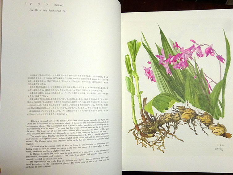 薬用植物図譜 特装版 / 小磯良平画 刈米達夫解説 | Natsume Books