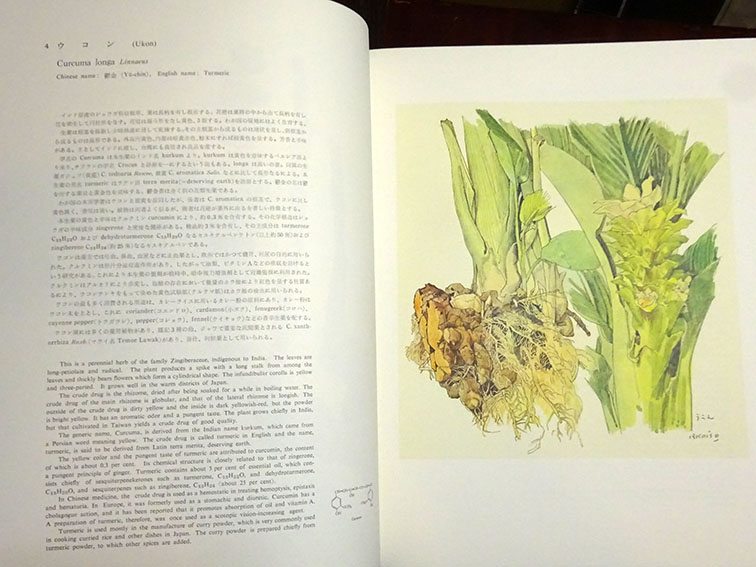 薬用植物図譜 特装版 / 小磯良平画 刈米達夫解説 | Natsume Books
