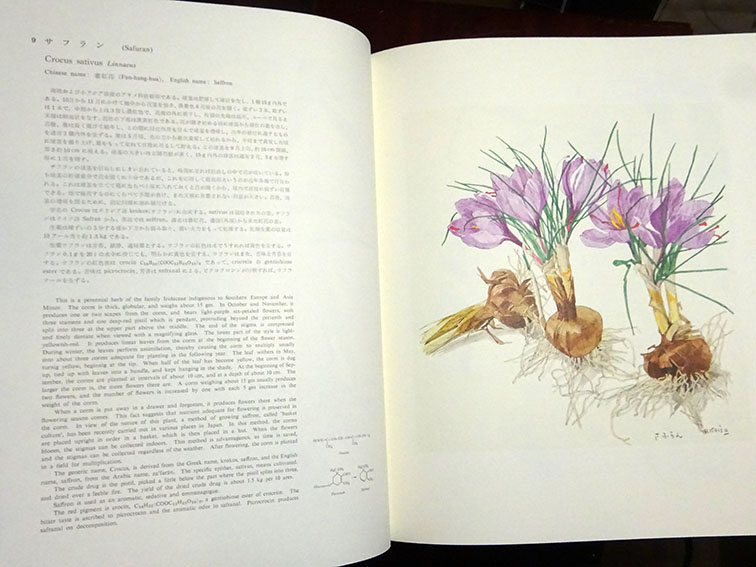 薬用植物図譜 特装版 / 小磯良平画 刈米達夫解説 | Natsume Books