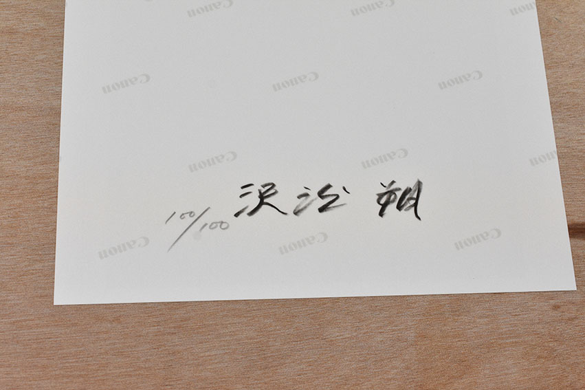 別冊記録 第1号 特装版 / 森山大道 沢渡朔 | Natsume Books 別冊記録 第1号 特装版 / 森山大道 沢渡朔 | Natsume Books